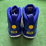 Jordan Kobe Bryant PE 9s Size 8