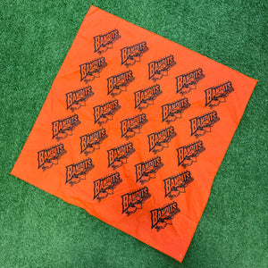 Vintage Buffalo Bandits Bandana