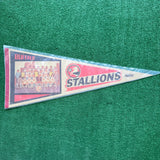 Vintage Buffalo Stallions Soccer Pennant