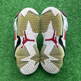 Jordan Carmine 6s Size 5.5Y