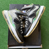 Nike LeBron Prism 10s Size 11