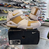 Nike Maccabi LeBron Zoom 2s Size 12