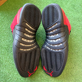 Jordan Reverse Flu Game 12s Size 9.5