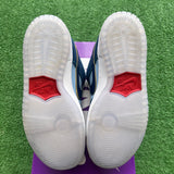 Nike Why So Sad SB Low Dunks Size 5