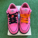 Nike Powder Puff Girls Blossom SB Low Dunks Size 8