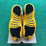 Jordan University Gold 12s Size 14