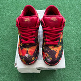 Nike Wizard Of Oz SB Low Dunks Size 10.5