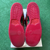 Nike Wizard Of Oz Poppy Field Low SB Dunks Size 12