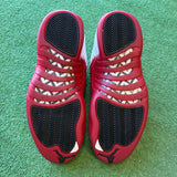 Jordan Cherry 12s Size 9