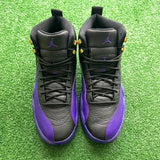 Jordan Field Purple 12s Size 11