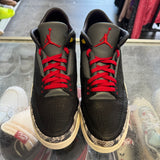 Jordan Animal Instinct 2.0 3s Size 12