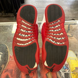 Jordan Cherry 12s Size 11