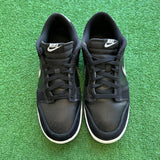 Nike Air Brush Swoosh Low Dunks Size 9.5