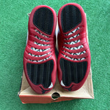 Jordan Cherry 12s Size 9