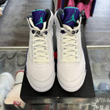 Jordan Grape 5s Size 10
