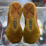 Nike LeBron Hazelnut 10s Size 10