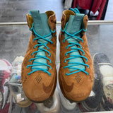 Nike LeBron Hazelnut 10s Size 10