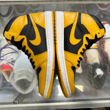 Jordan Pollen 1s Size 9