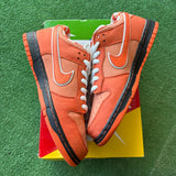 Nike Orange Lobster SB Low Dunk Size 10