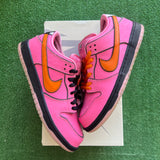 Nike Powder Puff Girls Blossom SB Low Dunks Size 8