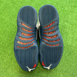 Jordan French Blue 12s Size 12