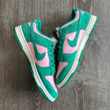 Nike The Masters Is Back Low Dunk Size 12