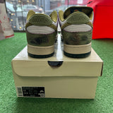 Nike Chameleon SB Low Dunk Size 13
