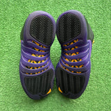 Jordan Field Purple 12s Size 8