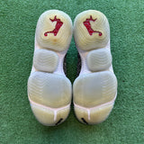 Nike Oreo LeBron 16s Size 12