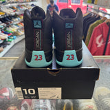 Jordan Gamma Blue 12s Size 10