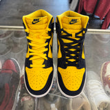 Nike Michigan High Dunks Size 9