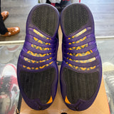 Jordan Field Purple 12s Size 10.5