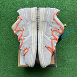 Nike Off White Lot 9s Size 9