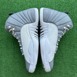 Jordan Stealth 12s Size 12