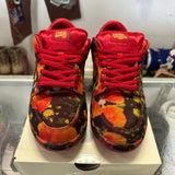 Nike The Wizard Of Oz Poppy Field SB Low Dunk Size 11