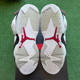 Jordan Carmine 6s Size 12