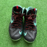 Nike LeBron Diffused Grey 11s Size 12