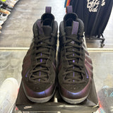 Nike Eggplant Foamposite Size 10.5