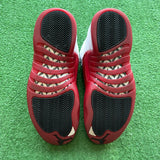 Jordan Cherry 12s Size 10