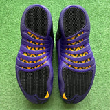 Jordan Field Purple 12s Size 12