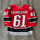 Vintage Buffalo Sabres Max Afinogenov Jersey Size XL