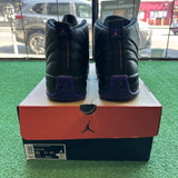 Jordan Field Purple 12s Size 11