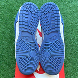 Nike Polar Blue Low Dunk Size 10.5