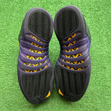 Jordan Field Purple 12s Size 11
