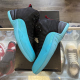 Jordan Gamma Blue 12s Size 10