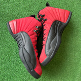 Jordan Reverse Flu Game 12s Size 11.5