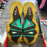 Nike South Beach LeBron 9s Size 13