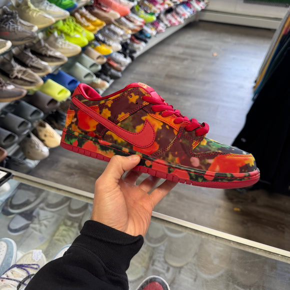 Nike The Wizard Of Oz Poppy Field SB Low Dunk Size 10.5