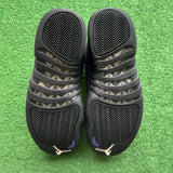 Jordan Black Dark Concord 12s Size 8