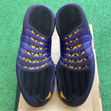 Jordan Field Purple 12s Size 10.5